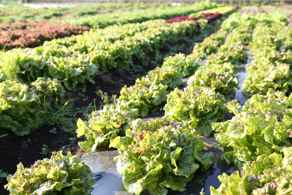 1s3a7913_2 1s3a7913_2