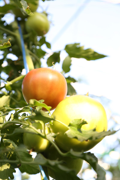 1s3a7953_2 1s3a7953_2